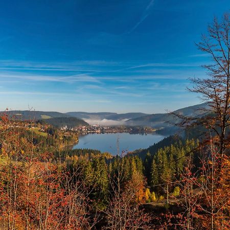 Ferienhaus Schwarzwaldstern, Todtnau, 3 Schlafzimmer المظهر الخارجي الصورة