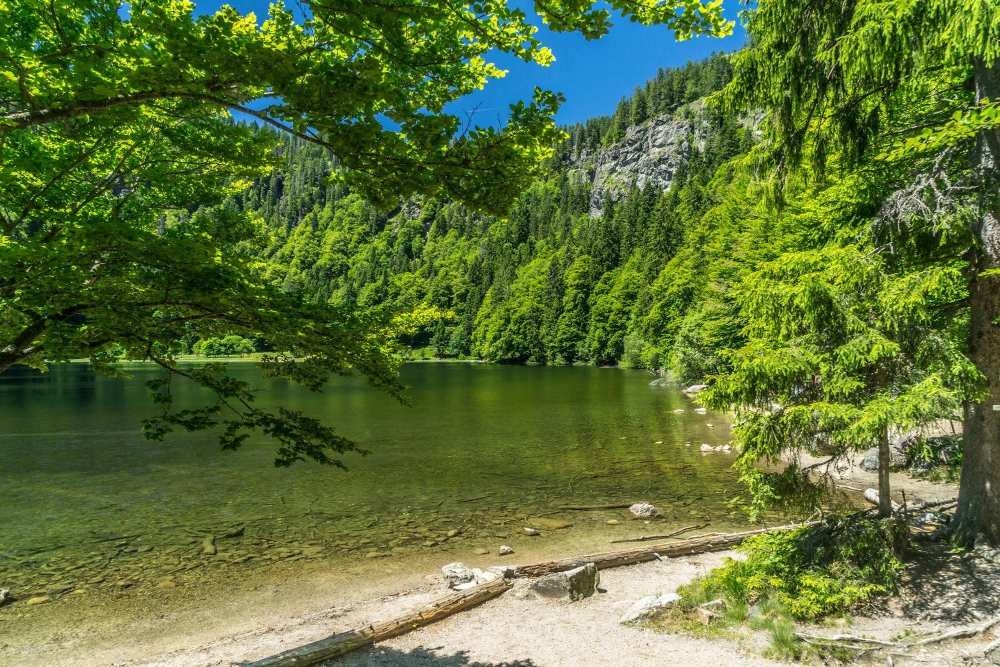 Ferienhaus Schwarzwaldstern, Todtnau, 3 Schlafzimmer المظهر الخارجي الصورة